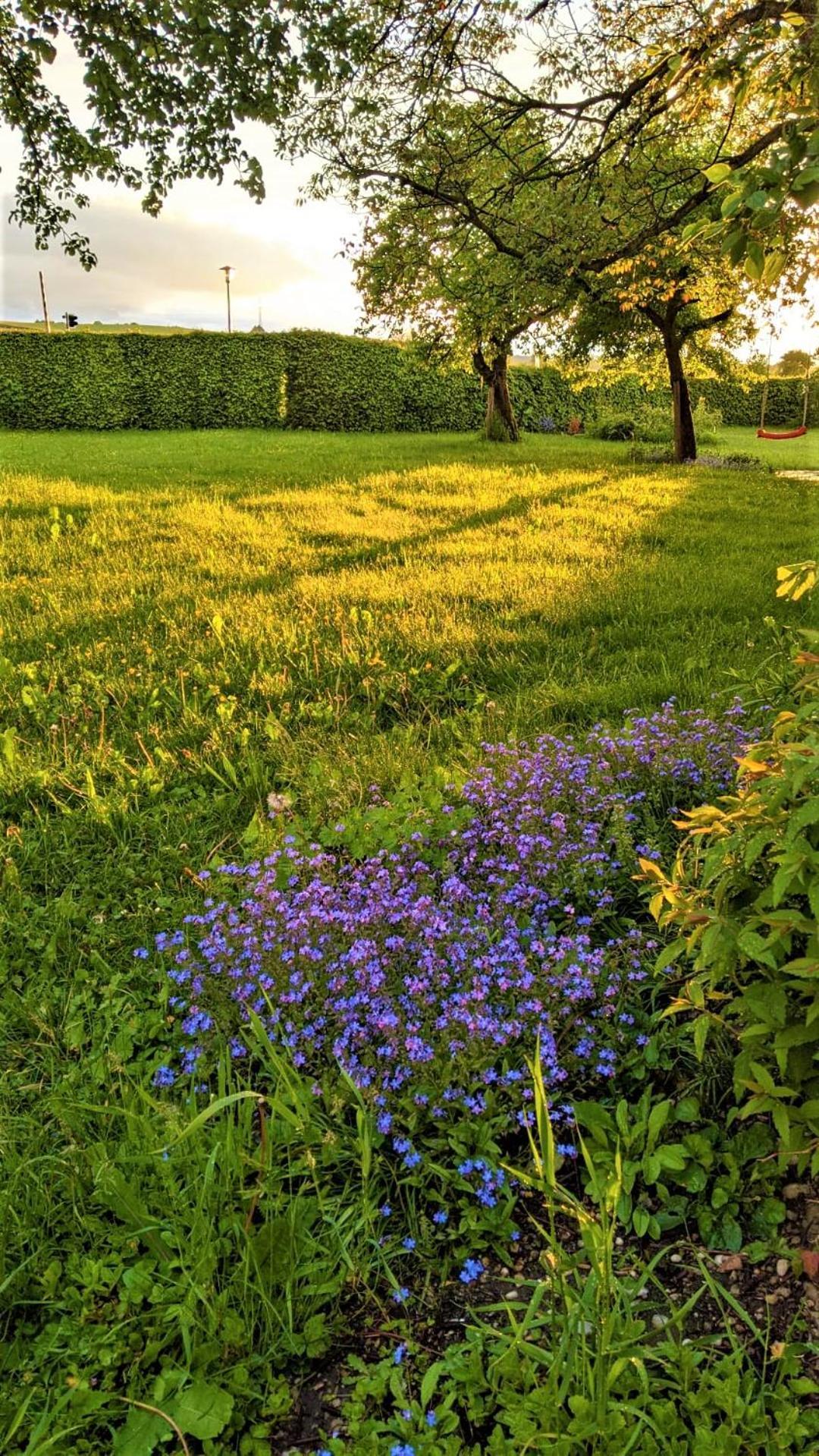 Pension Margaretenhof Bayerbach المظهر الخارجي الصورة